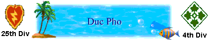 Duc Pho